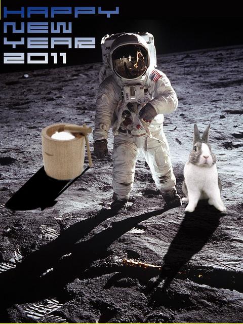Space rabbit Blog.JPG